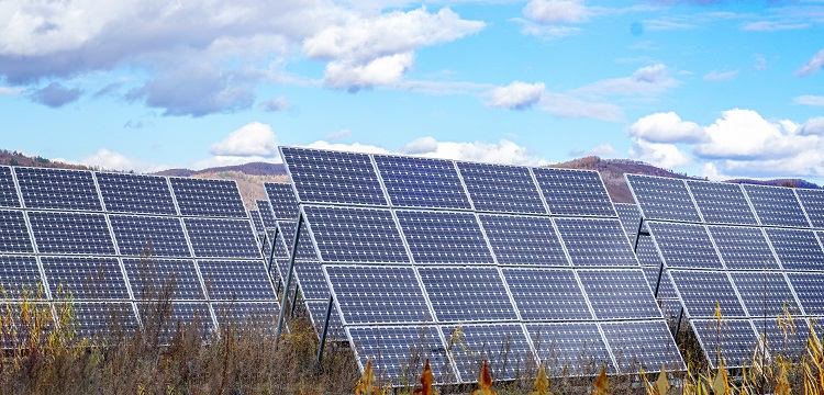 紡織品防螨檢測-專業(yè)除螨防螨檢測機構(gòu)