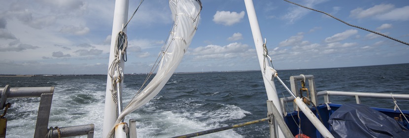 食品接觸材料檢測(cè)包含哪些項(xiàng)目 