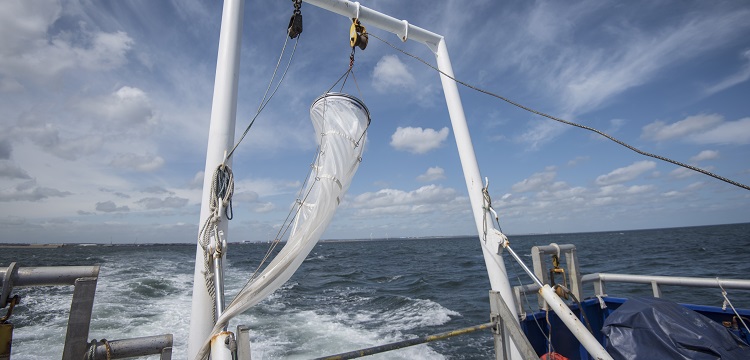 食品接觸材料檢測(cè)項(xiàng)目大匯總！