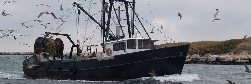 船舶設(shè)備高溫試驗