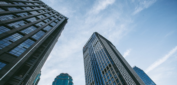 雌激素誘導(dǎo)性狼瘡皮膚病小鼠模型