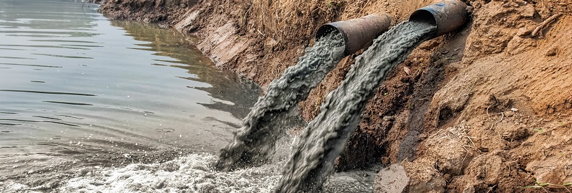 魚(yú)類延長(zhǎng)毒性14天試驗(yàn)