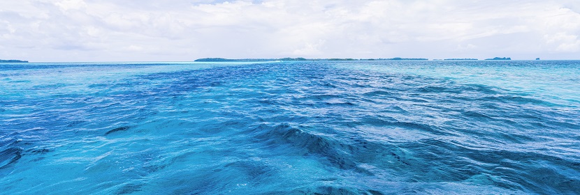 活動抑制試驗(yàn)